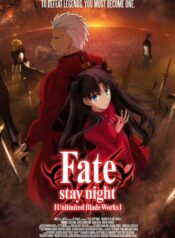 FATE STAY NIGHT UNLIMITED BLADE WORKS raw