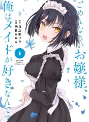 Gomennasai Ojou-sama, Ore wa Maid ga Sukinan desu raw