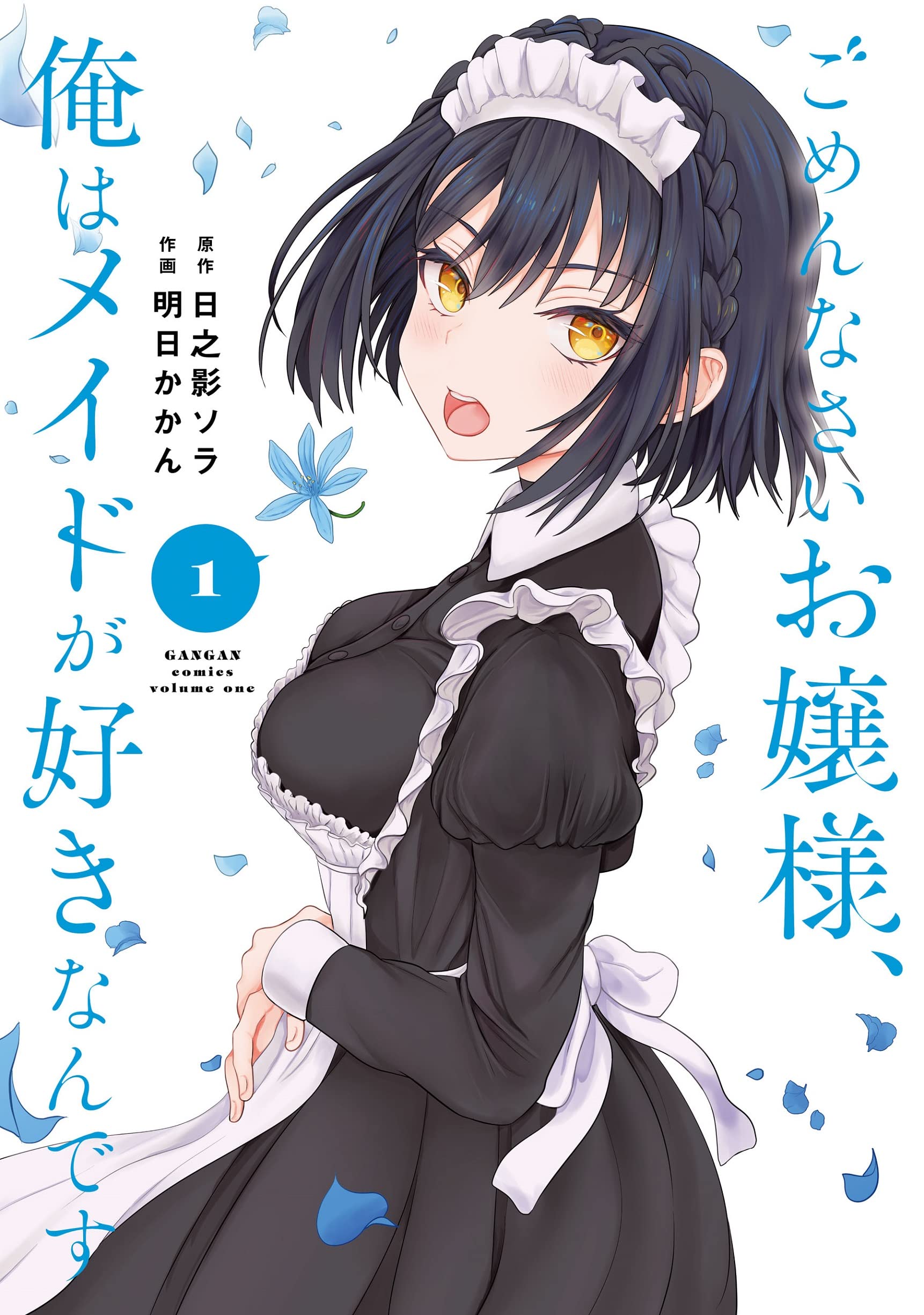 Gomennasai Ojou-sama, Ore wa Maid ga Sukinan desu raw