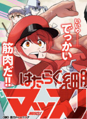 Hataraku Saibou Muscle