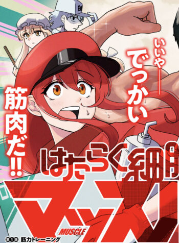 Hataraku Saibou Muscle